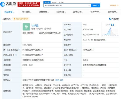 商務(wù)信息咨詢 賦能企業(yè)決策的智慧引擎