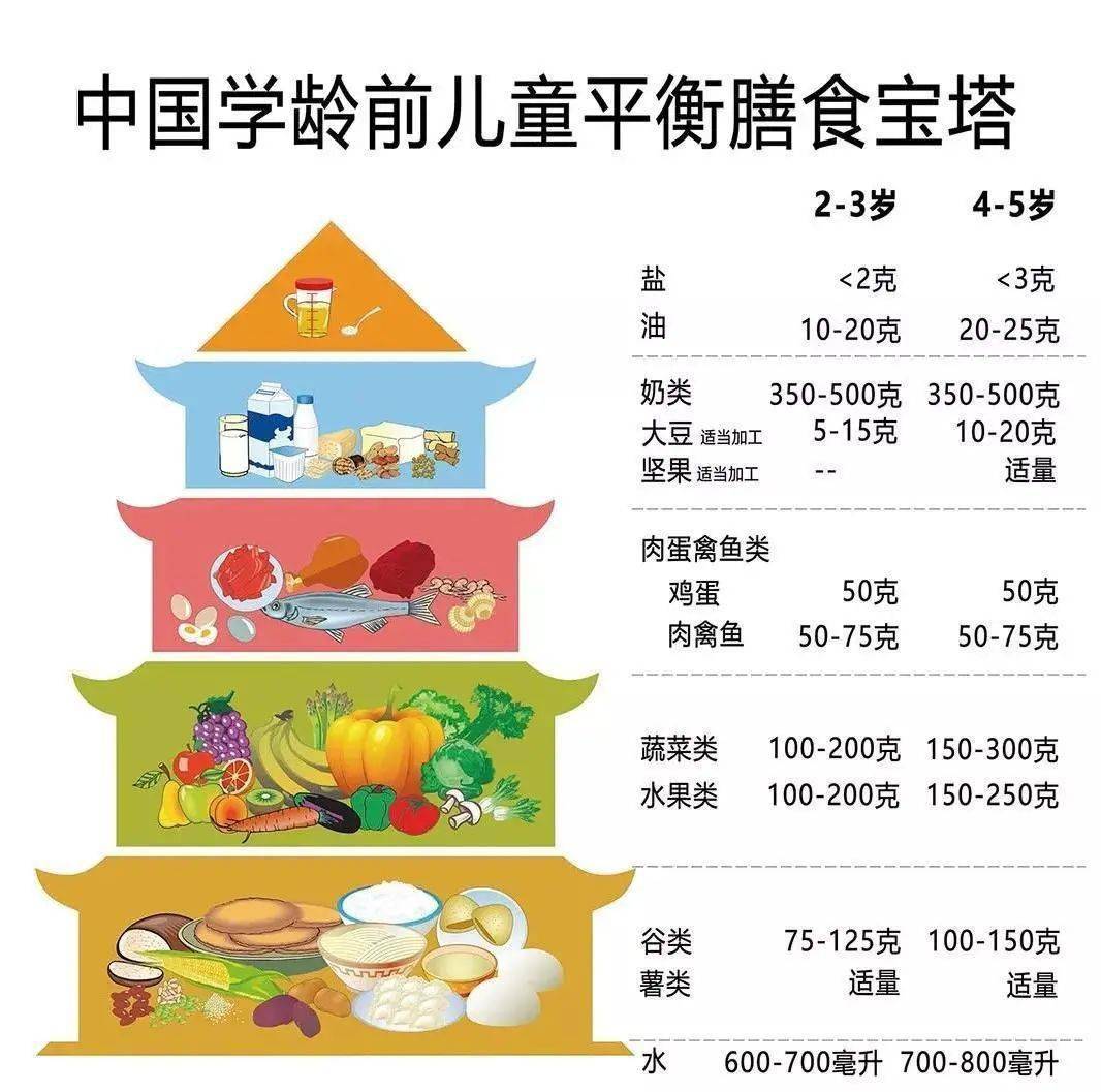 “吃出一道彩虹”——科學膳食、營養均衡與美味無窮的奧秘