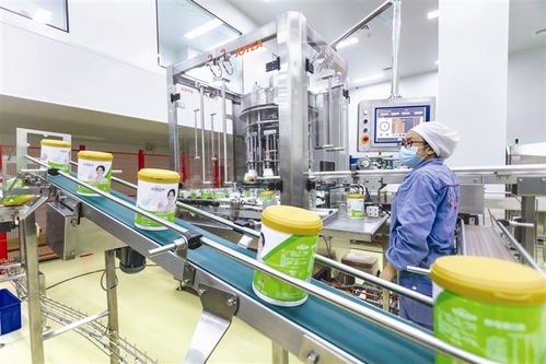 安琪健康食品數字化工廠投產 重塑食品產業新未來