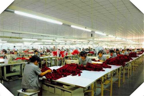 4個適合創業的小型加工廠項目推薦 干好一個年收入高達100萬的食品方向